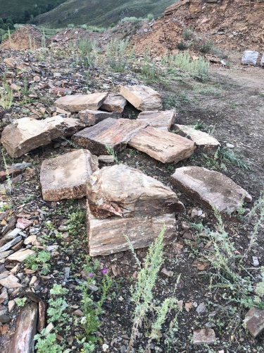 Плитняк кора дерева 50-100мм для пошаговых дорожек купить в Владимирской области